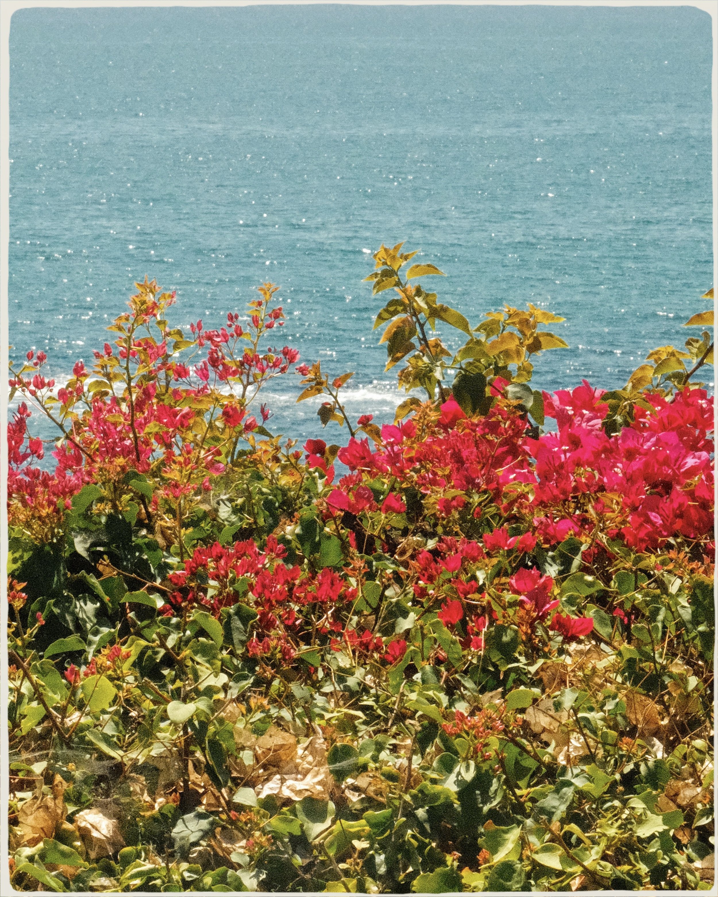 IMG_0804.jpeg