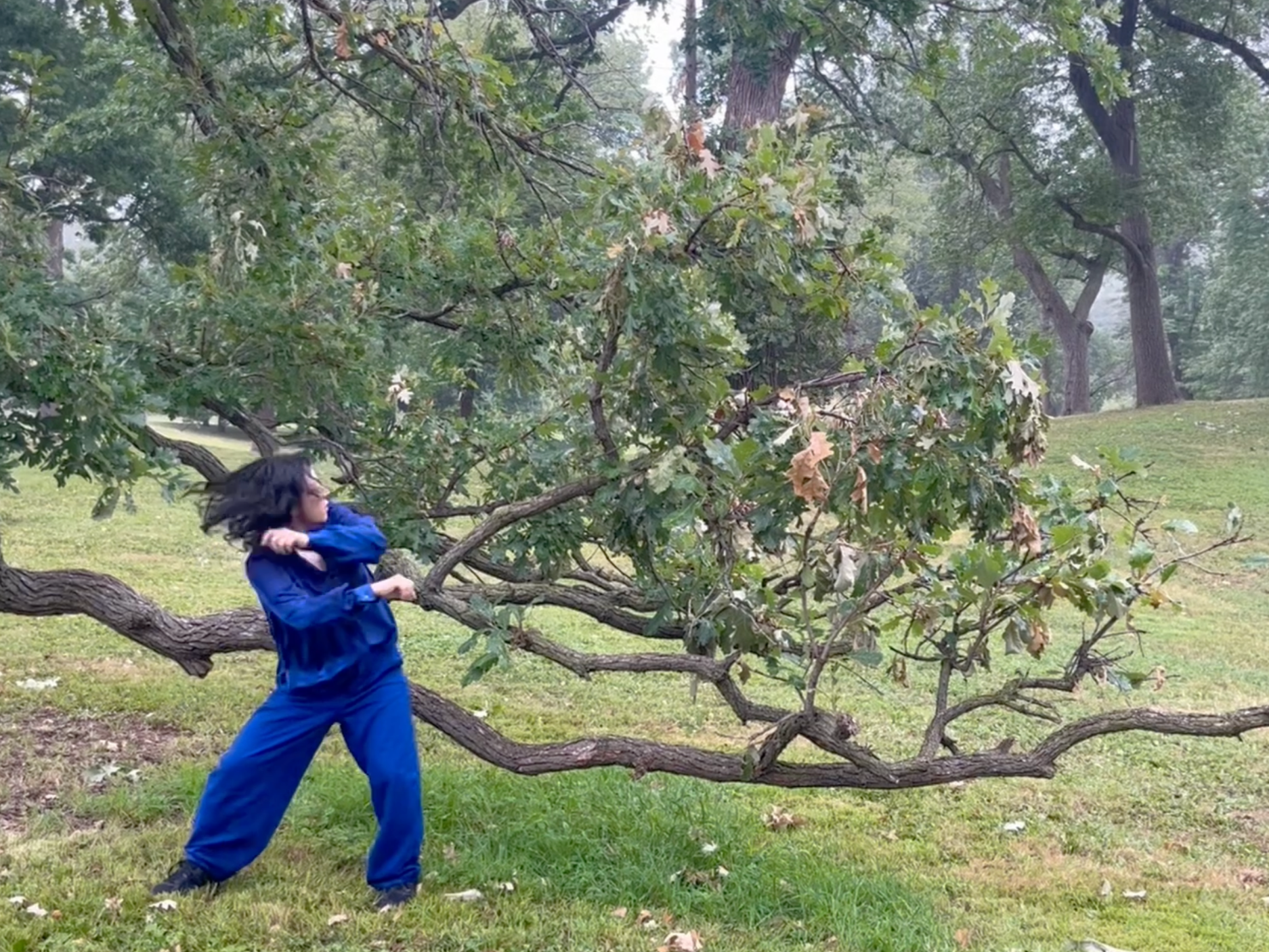 A woman with shoulder-length black hair and bright blue clothing dancing in front of low oak tree branches in a park