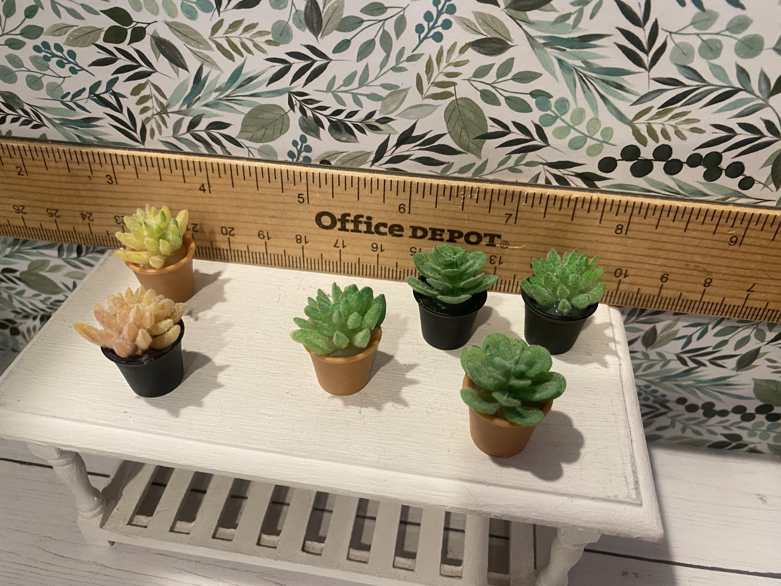 Miniature House Plants, 1:12