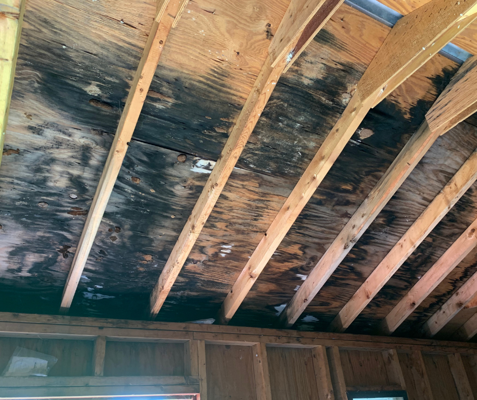 When people type should I remodel or repair my house into Google, they are already living with a problem that is not going away. Solano County