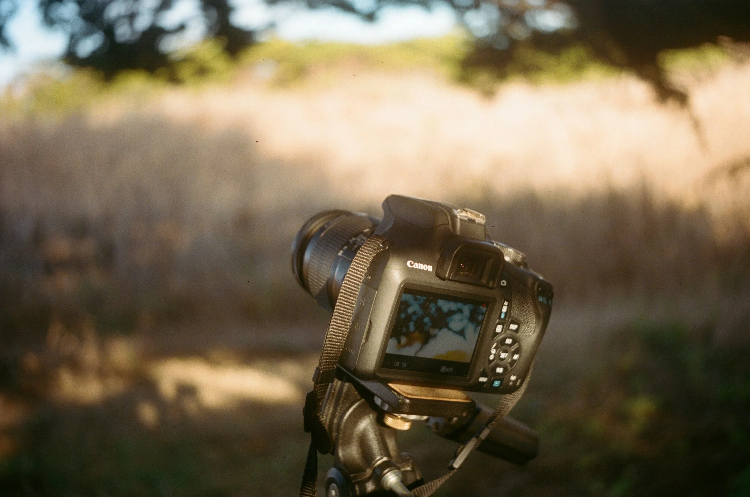 OLIVER GRUBB Film/Video