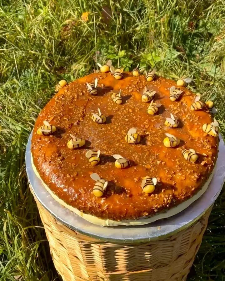 🐝 Bienenstich - Bee Sting Cake 🐝

Congratulations to Bonnie and Charlie on their wedding this weekend! Here&rsquo;s the cake we created for them&mdash;hope you and your family enjoyed! 

#notchabovebread #bakery #baker #cake #bienenstich #beesting 
