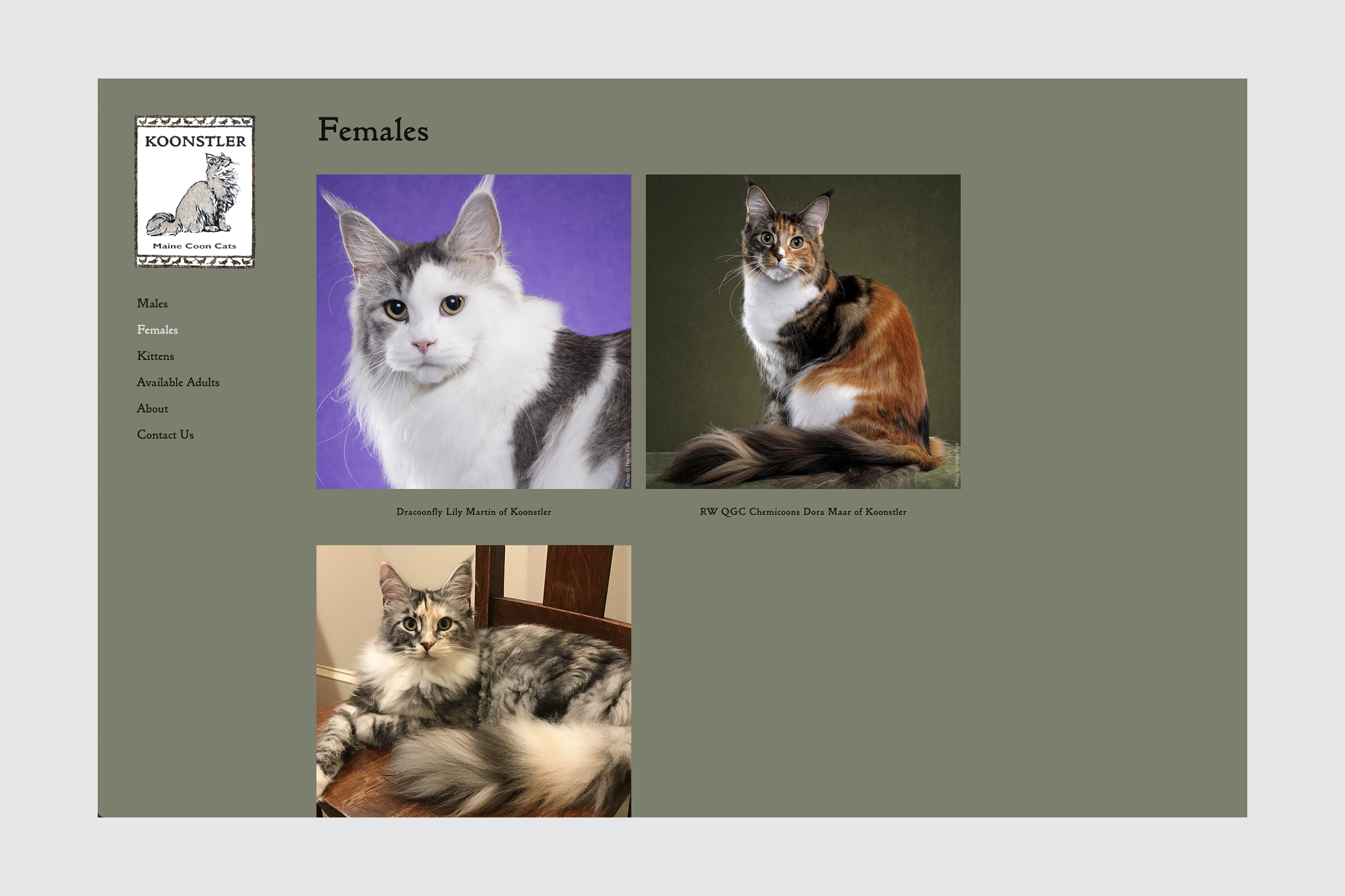 k web page 1.png