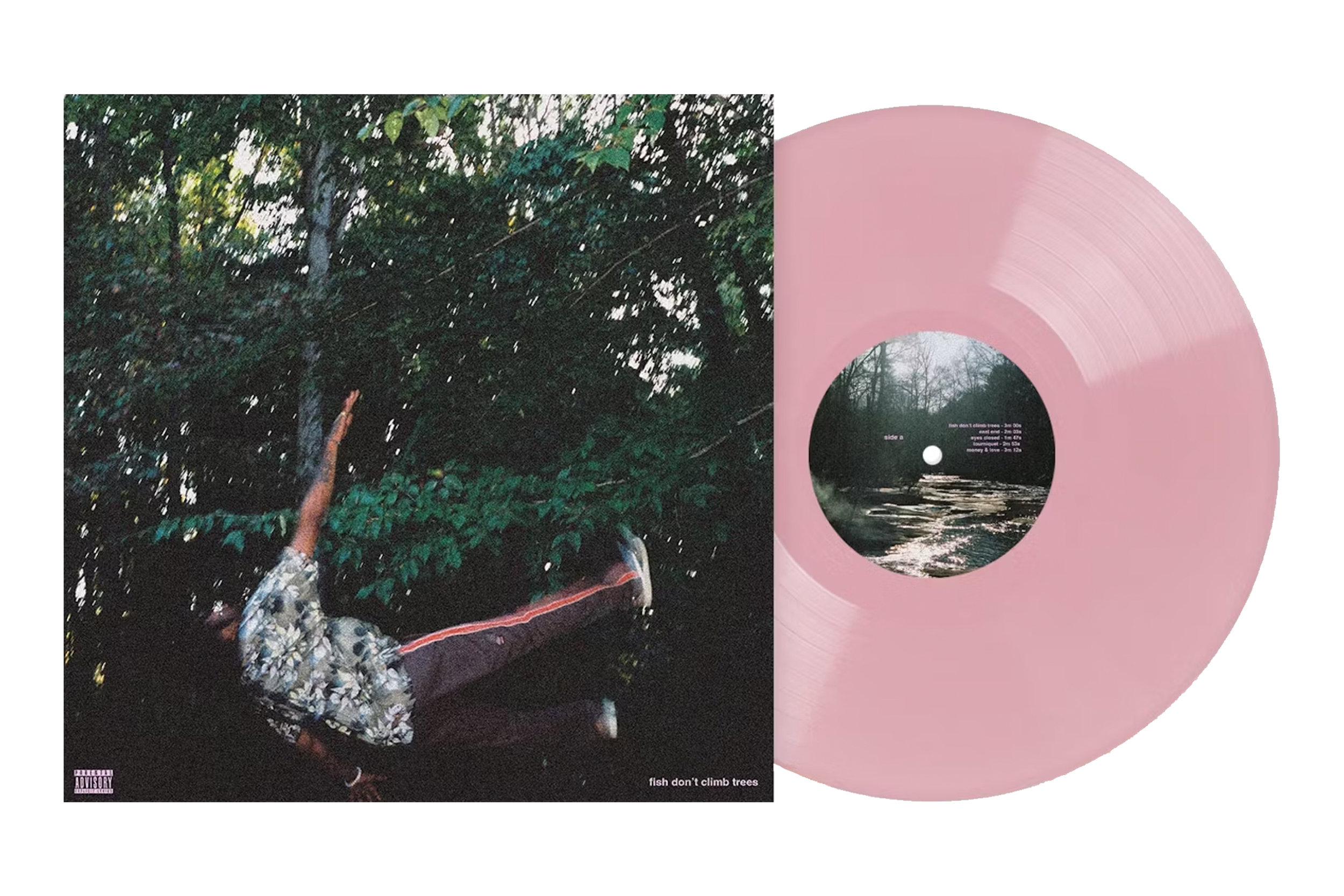 signed 'fish don't climb trees' vinyl | pink edition VMP exclusive