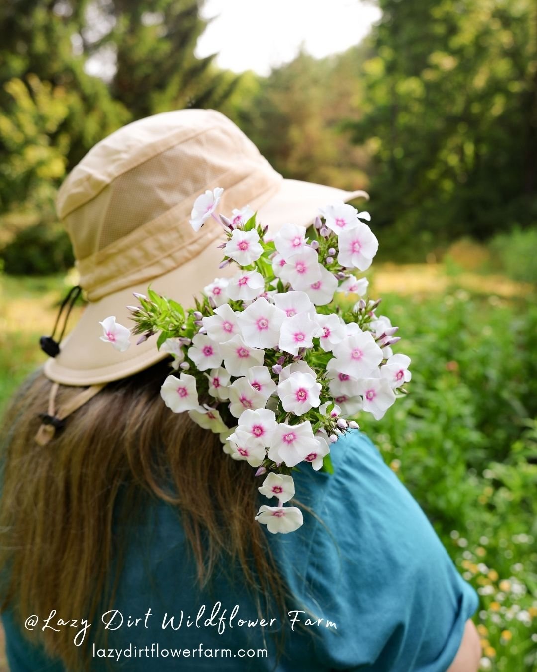 Meadow Walk & U-pick Flowers