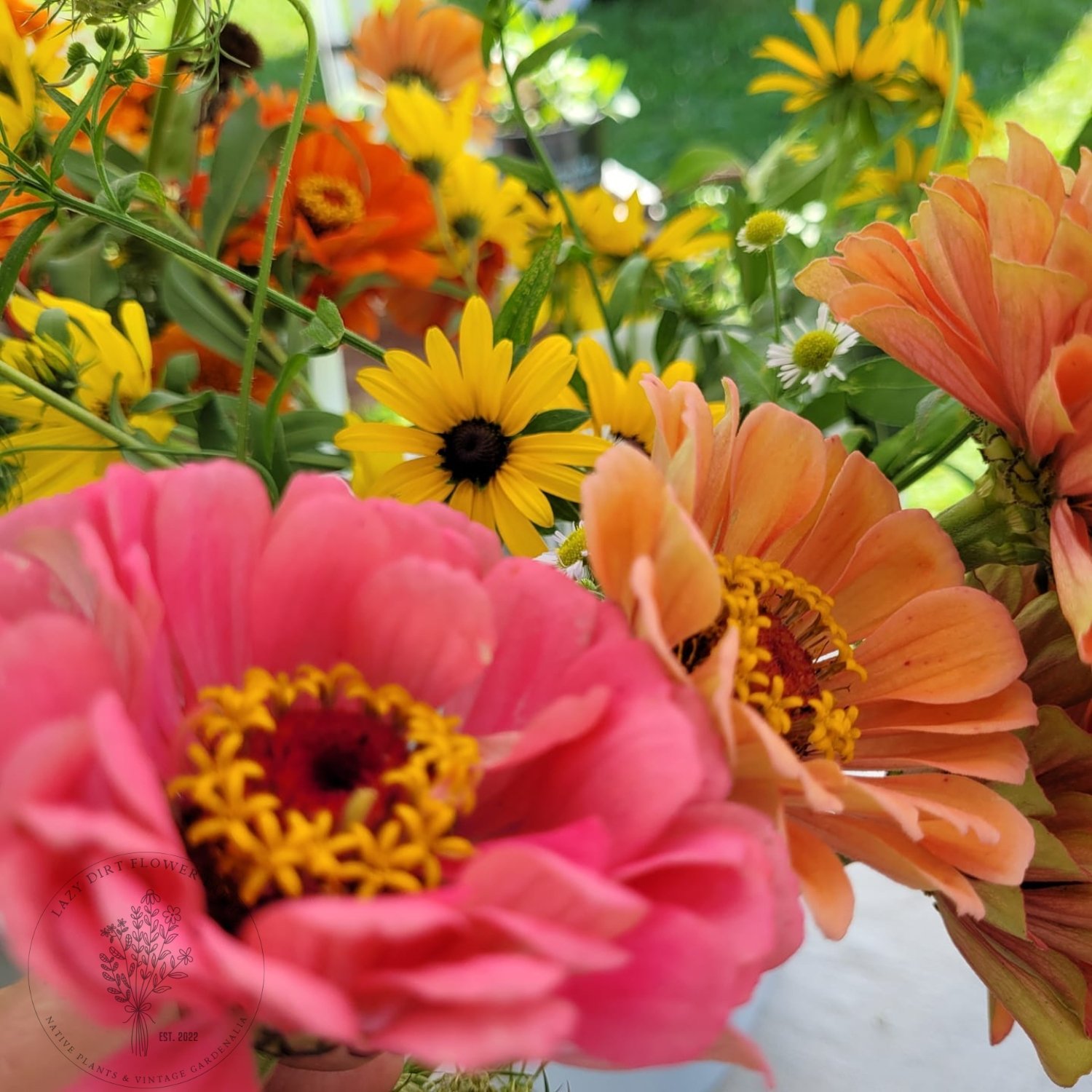 Zinnias and Rudbeckia .jpg