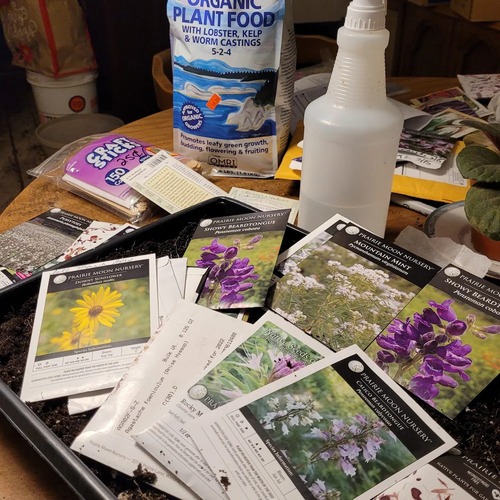 Where we began Seed Sowing 1st time.jpeg