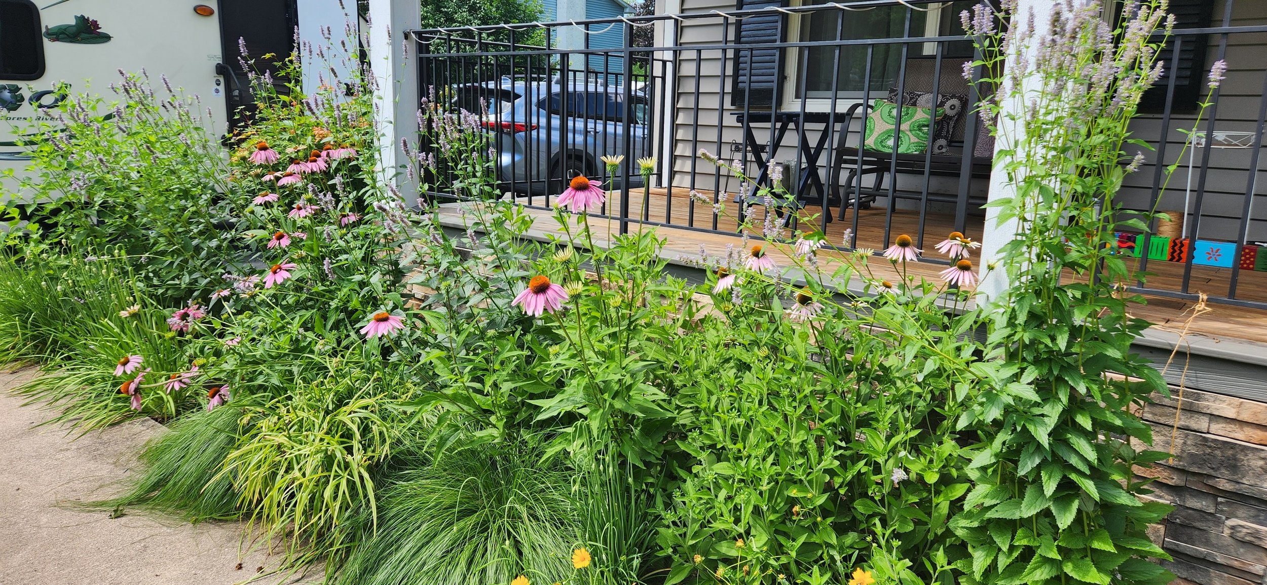 Lazy Dirt Flower Farm Becky's Garden created from our seedlings.jpeg