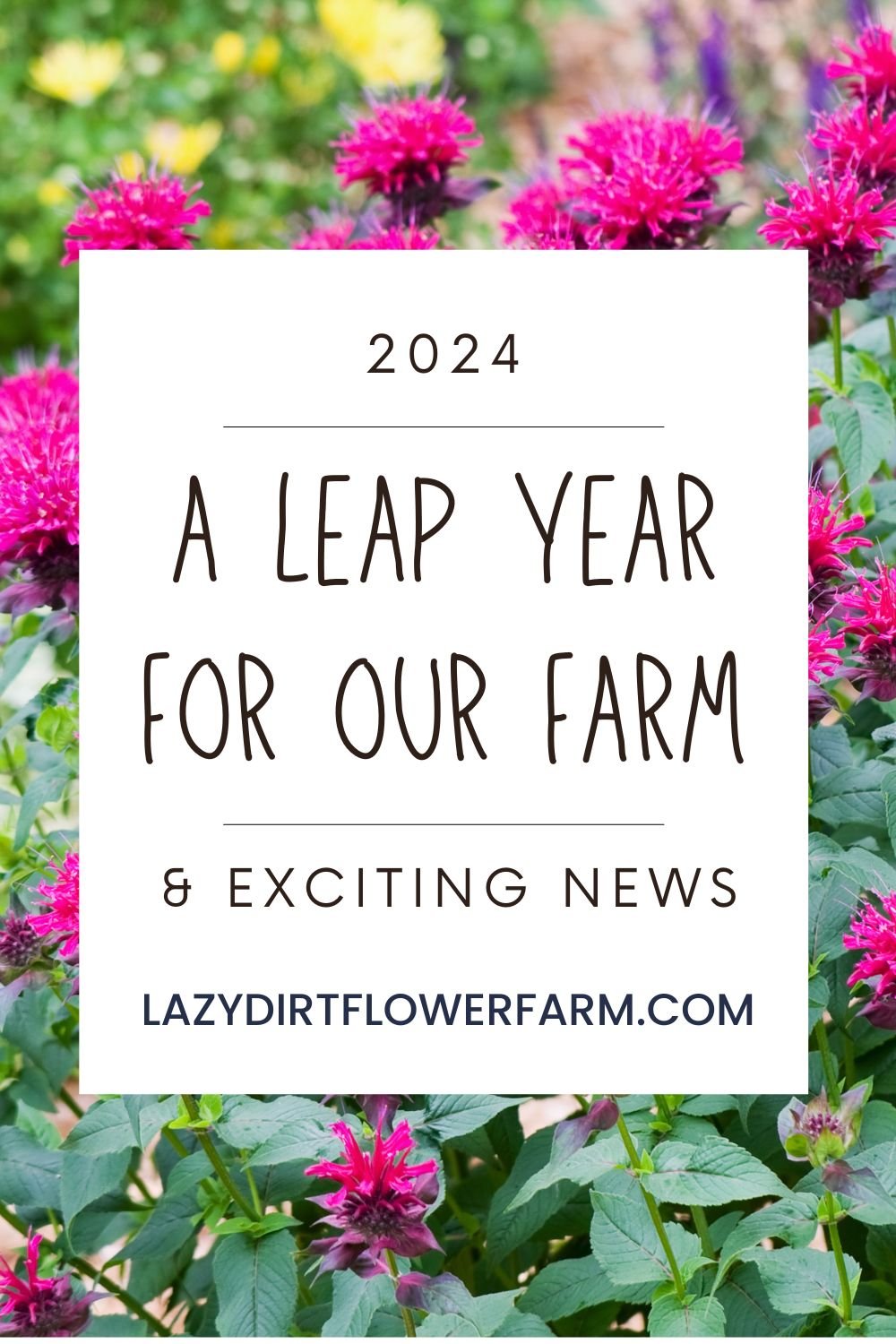a leap year for our farm 2024 lazy dirt flower farm .jpg