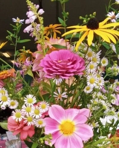 Well folks.. I'm not sowing lovely seeds today  to grow these pretty blooms for you

Down with a FEVER 🤒  CHILLS &amp; ACHES... Resting sequestered upstairs while family does a major fumigation 🤣  downstairs so this flu doesn't take us all down 

H