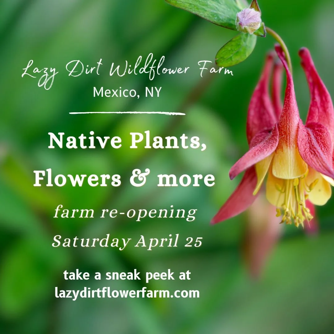 Nursery Opens for the Season!