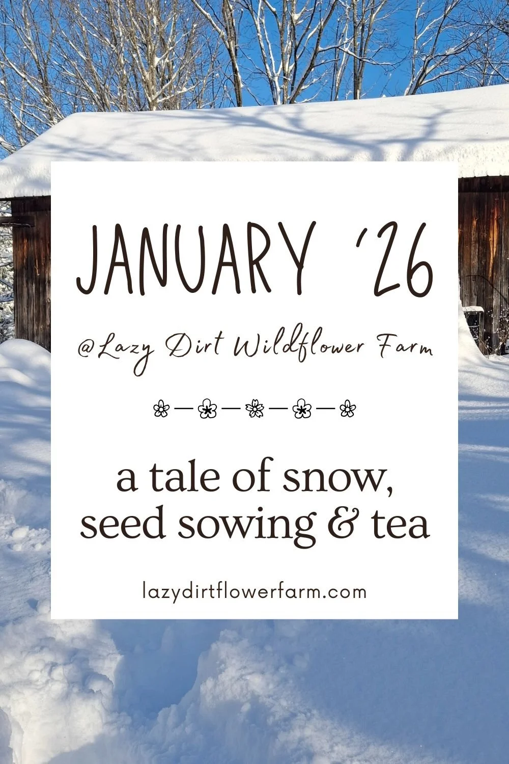 January on the Farm: a Tale of Snow, Seed Sowing and Tea.