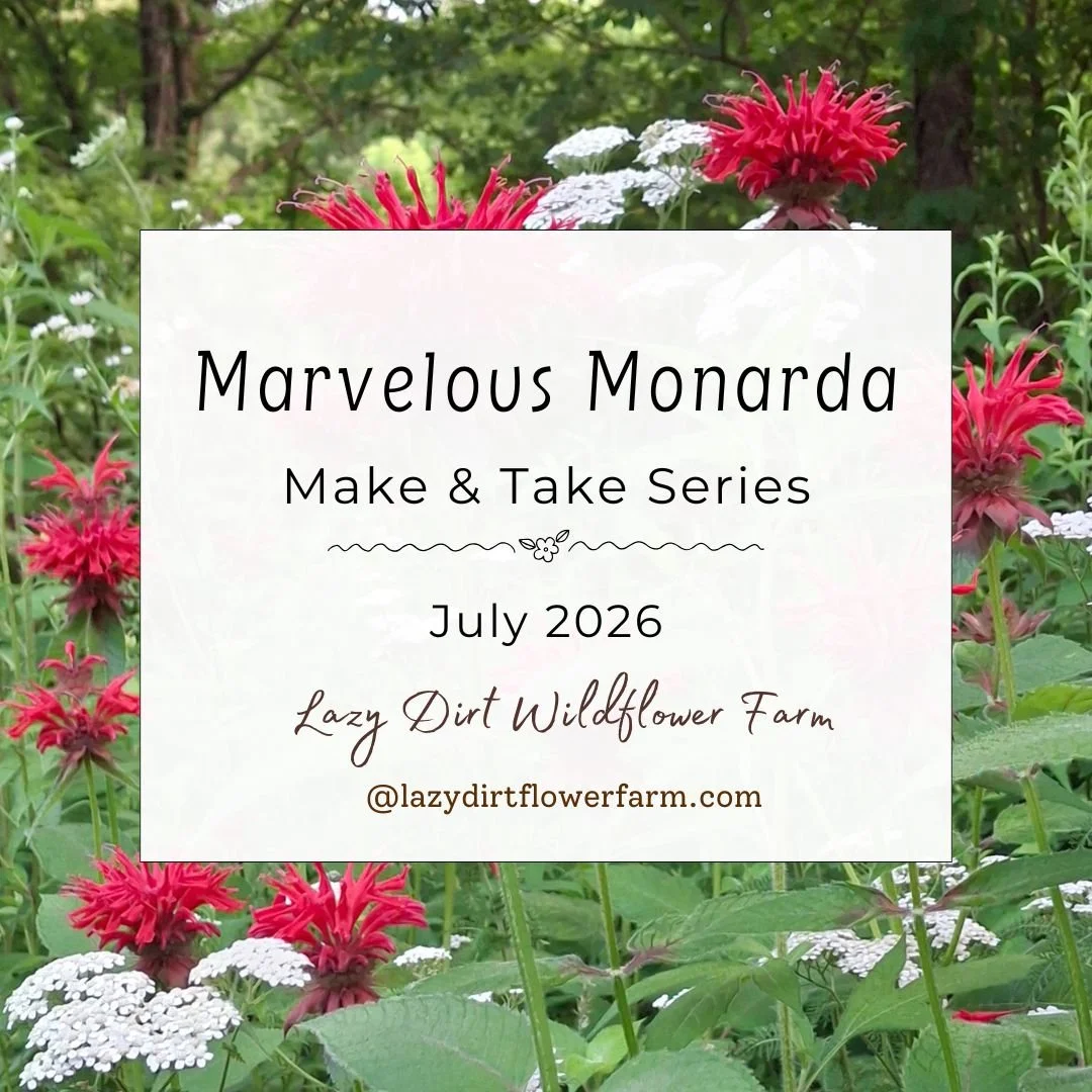 Marvelous Monarda Series: Oswego Tea & Oxymel Make & Take