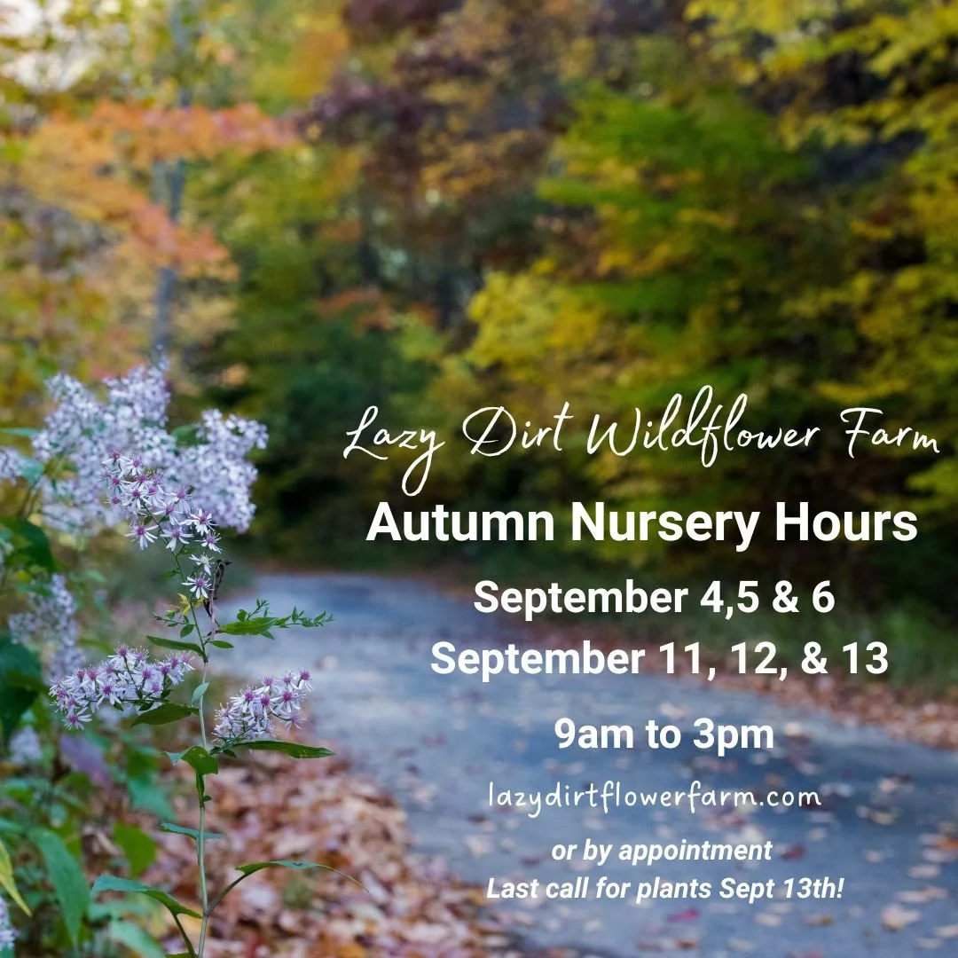 Fall 2026 Nursery HOurs.jpg