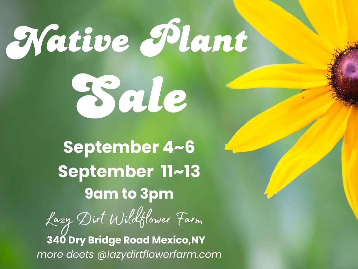 AUTUMN NATIVE PLANT SALE 