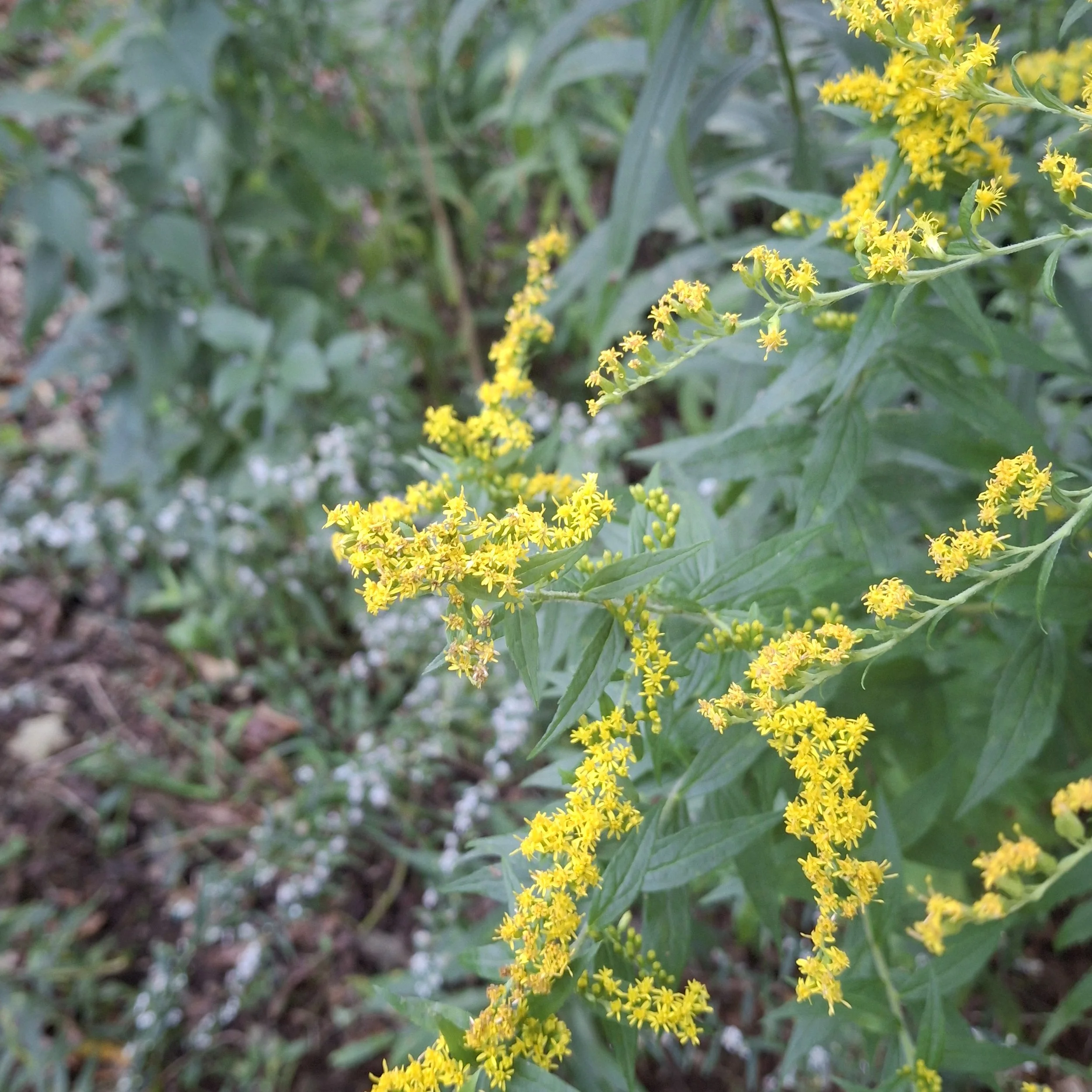 20260923_073450.jpg