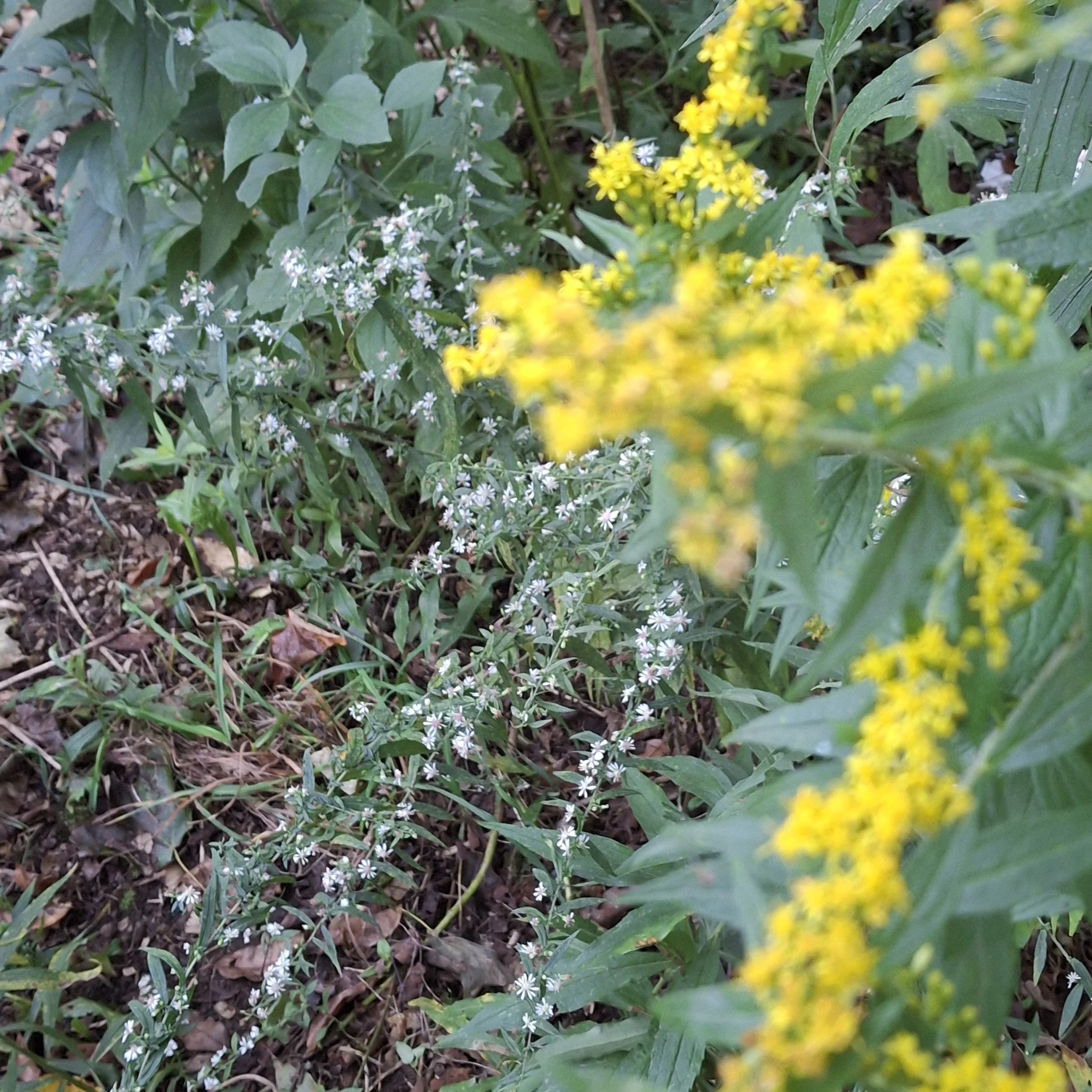 20260923_073500.jpg