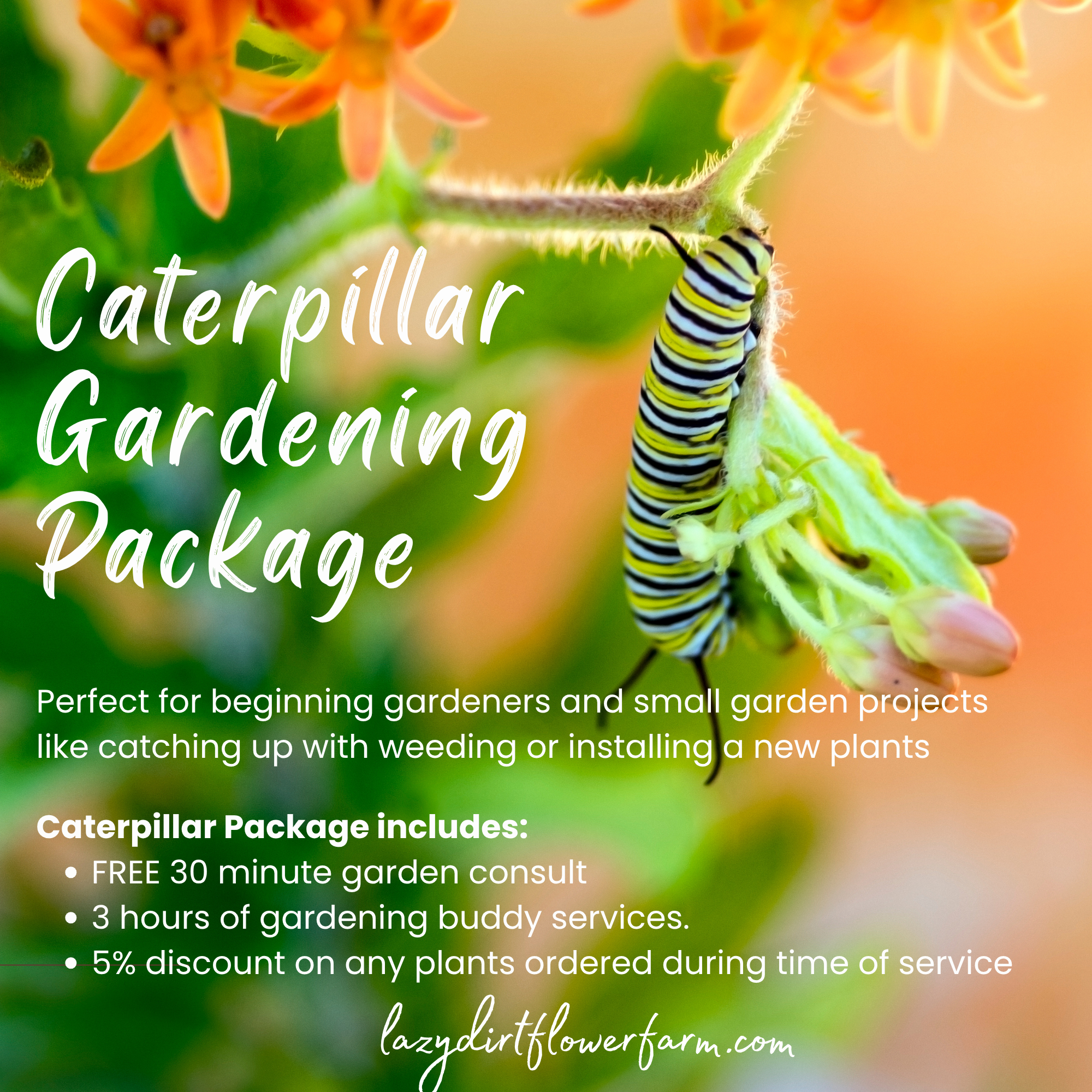 Garden Services Caterpillar.png