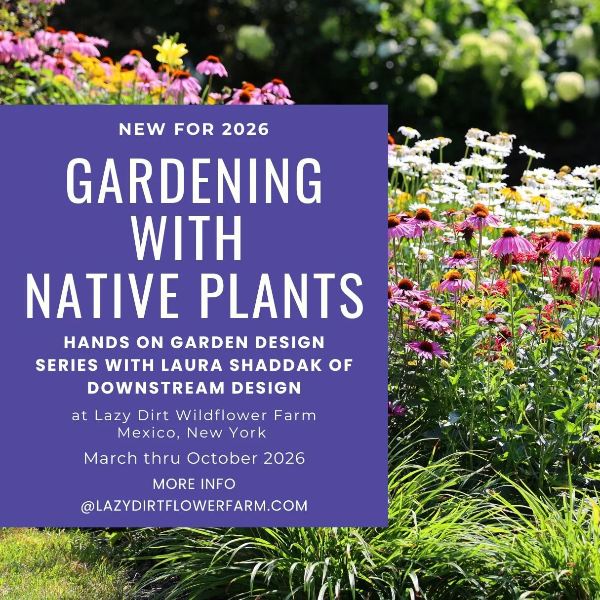 Gardening Design with Native Plants