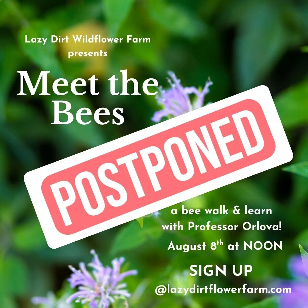 POSTPONED! 'Meet the Bees' Walk with Professor Orlova
