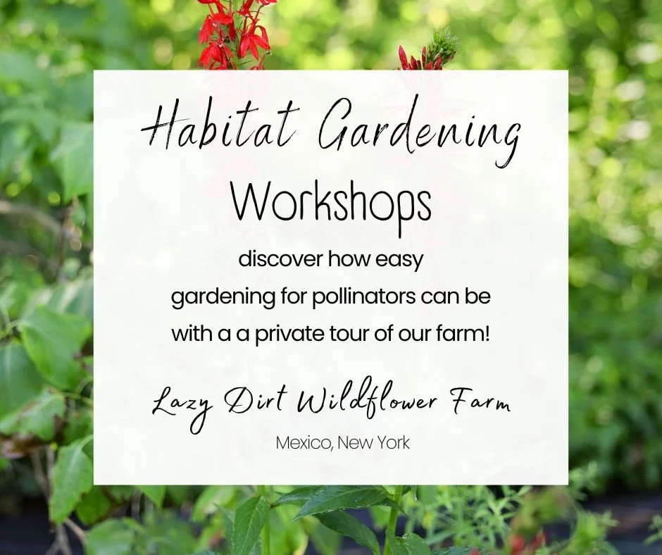 Habitat Gardening Workshops & Tours