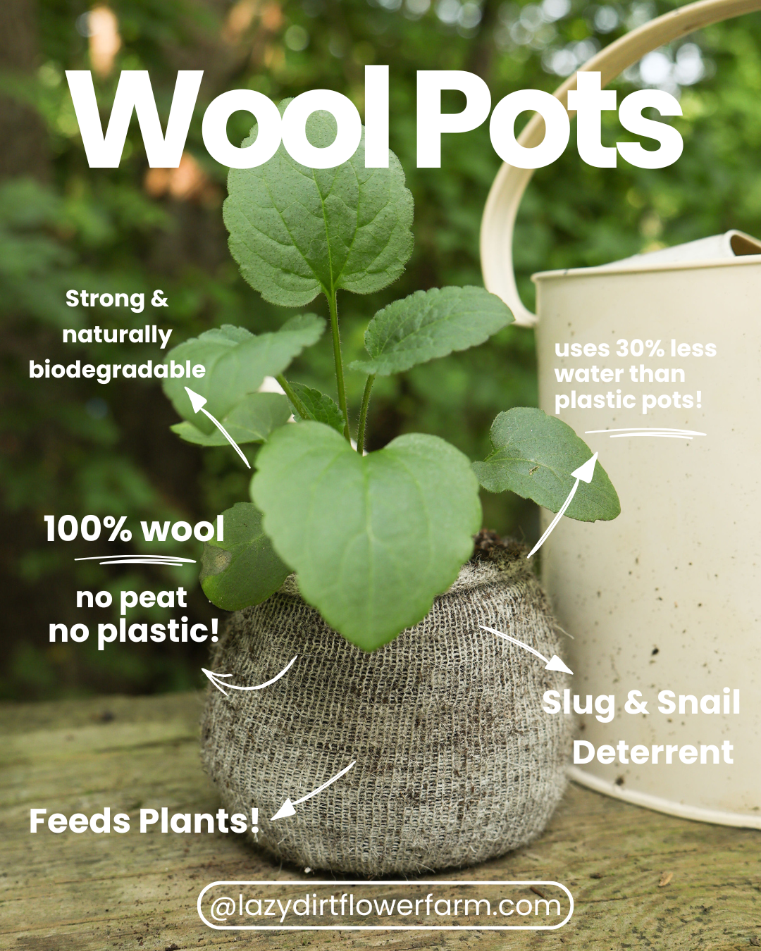 Pack of 20 Wool Pots