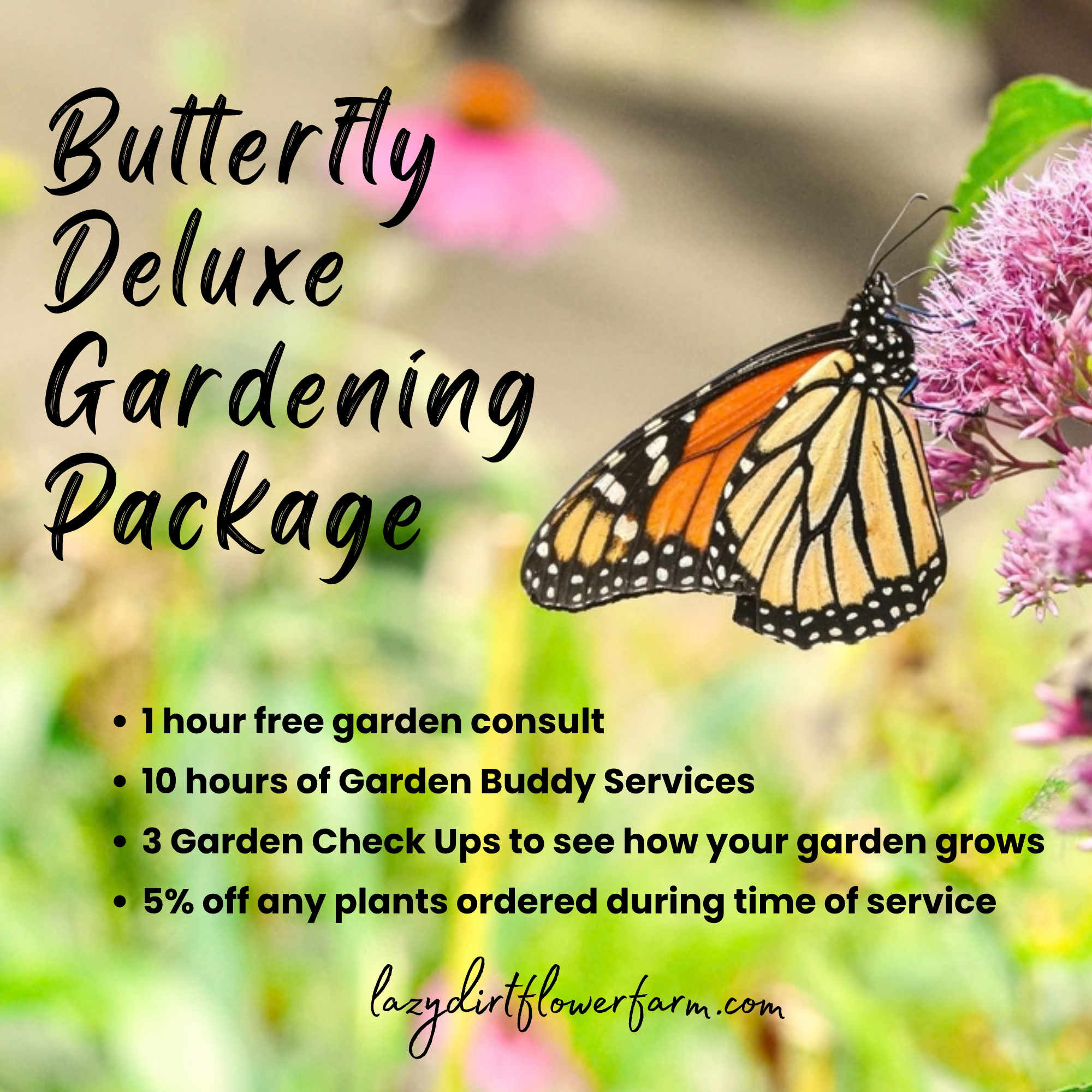 Garden Services Cocoon (2).png