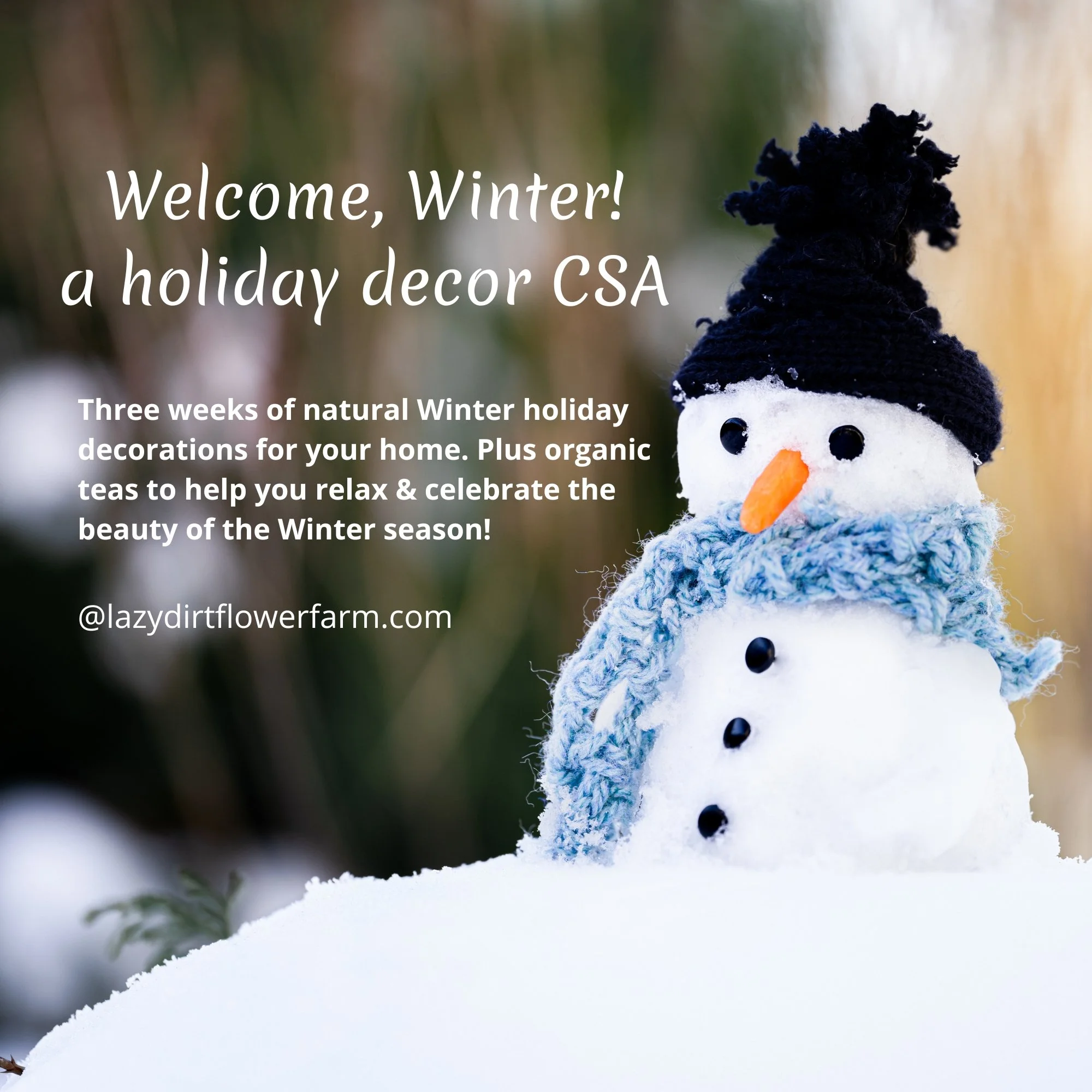 Winter Woods Holiday CSA .jpg