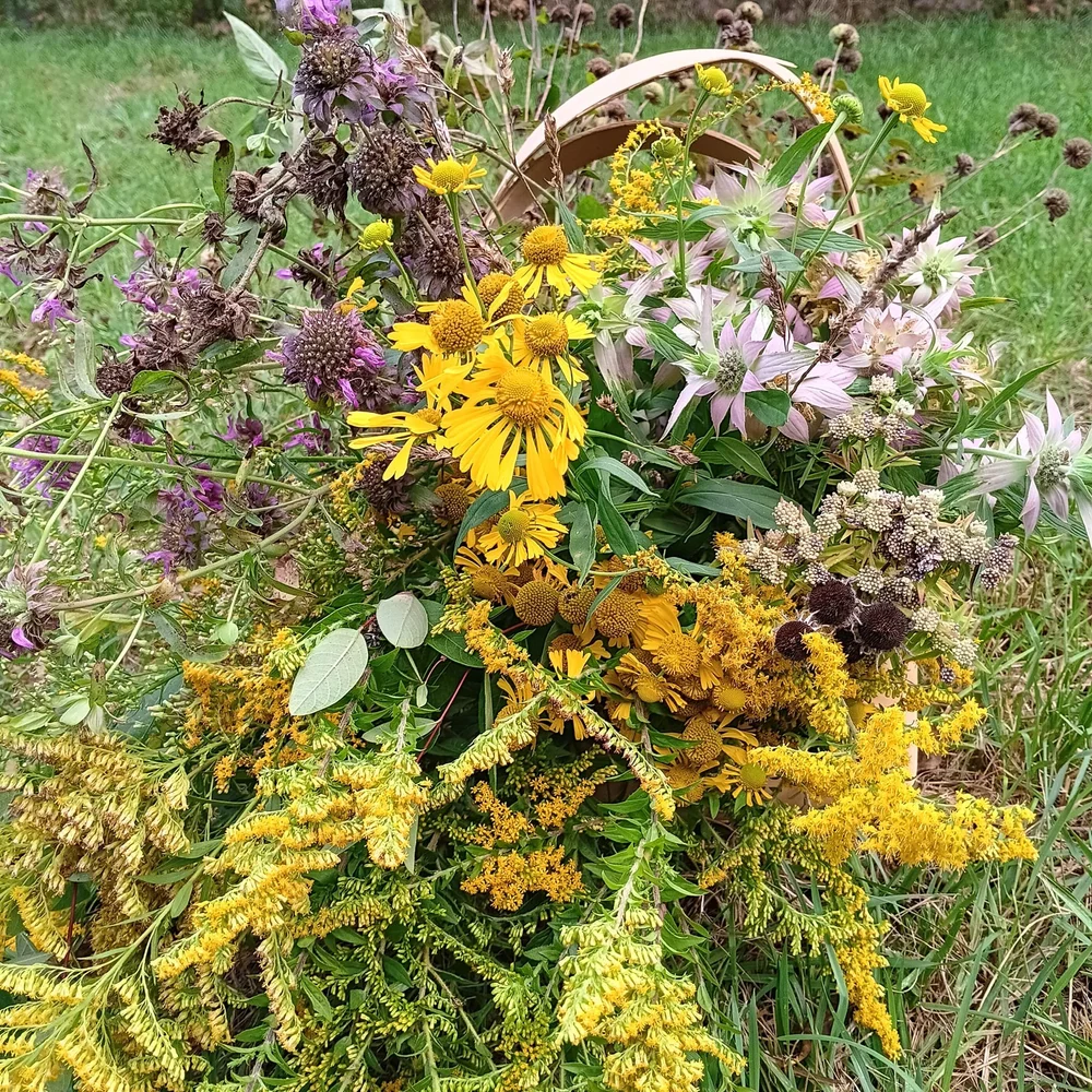 autumn blooms.jpg