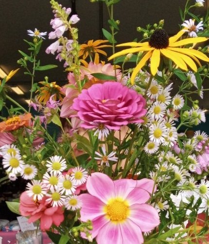 Daisy Fleabane in a bouquet Lazy Dirt Flower Farm.jpg
