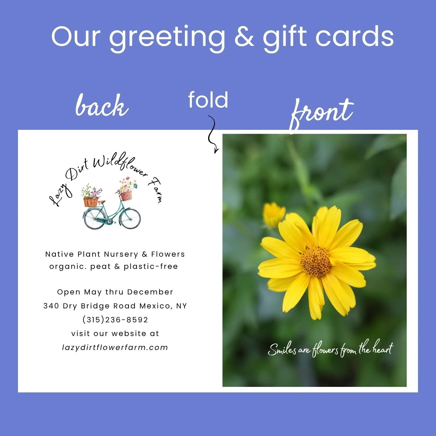 Gift Certificates.jpg