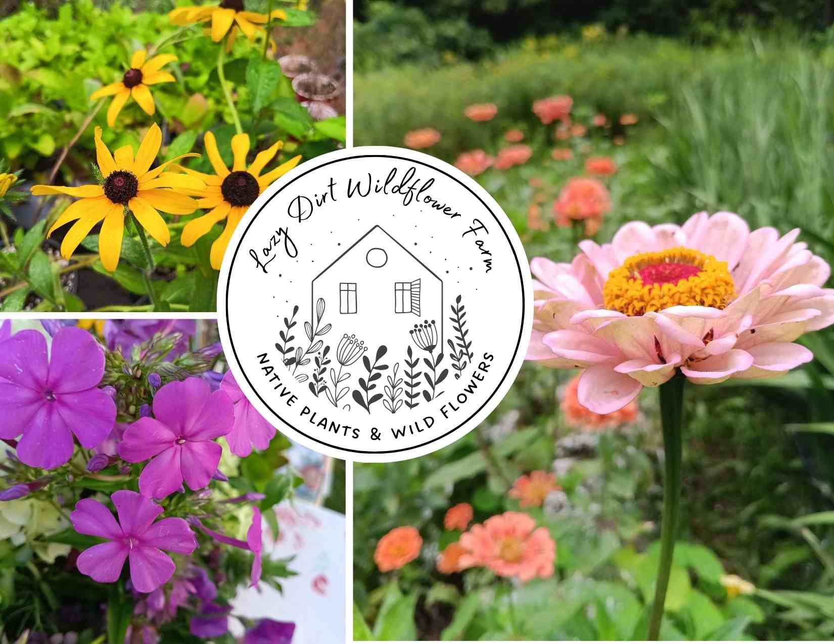 Flower LDF Postcard.jpg