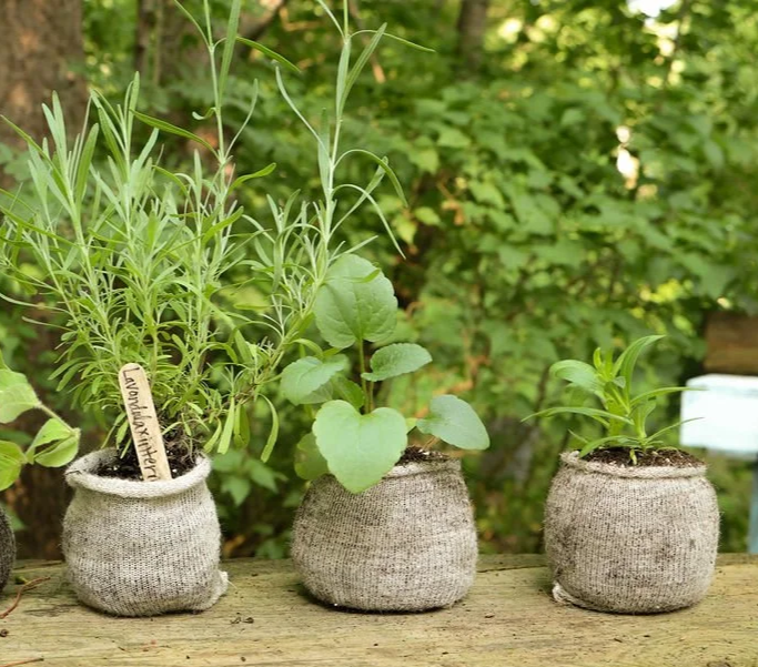 Wool Pots Plastic free pots lazy dirt wildflower farm.png
