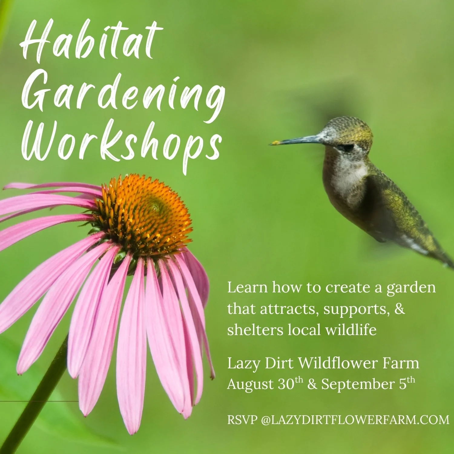 Habitat Gardening Workshop