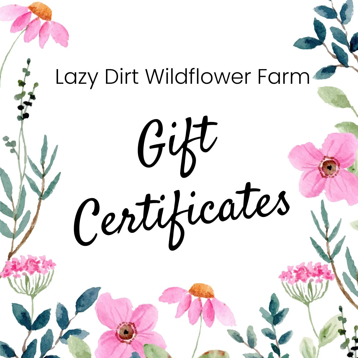 Cover  for Gift Certificates.jpg