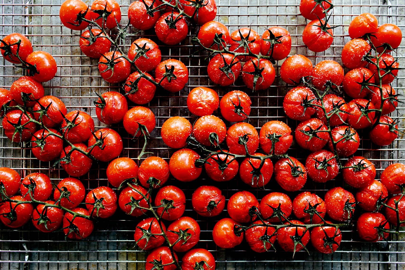 kristin-teig-tomatoes-1087.jpg