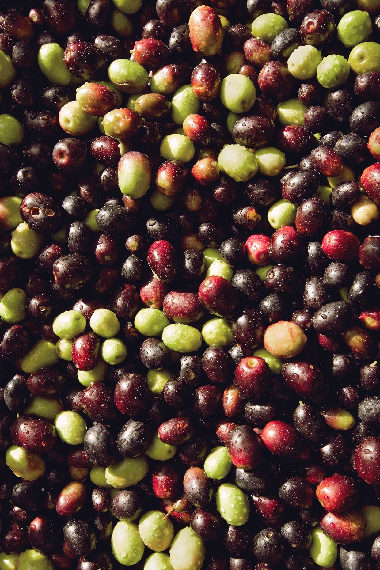 teig-italy-olives.jpg