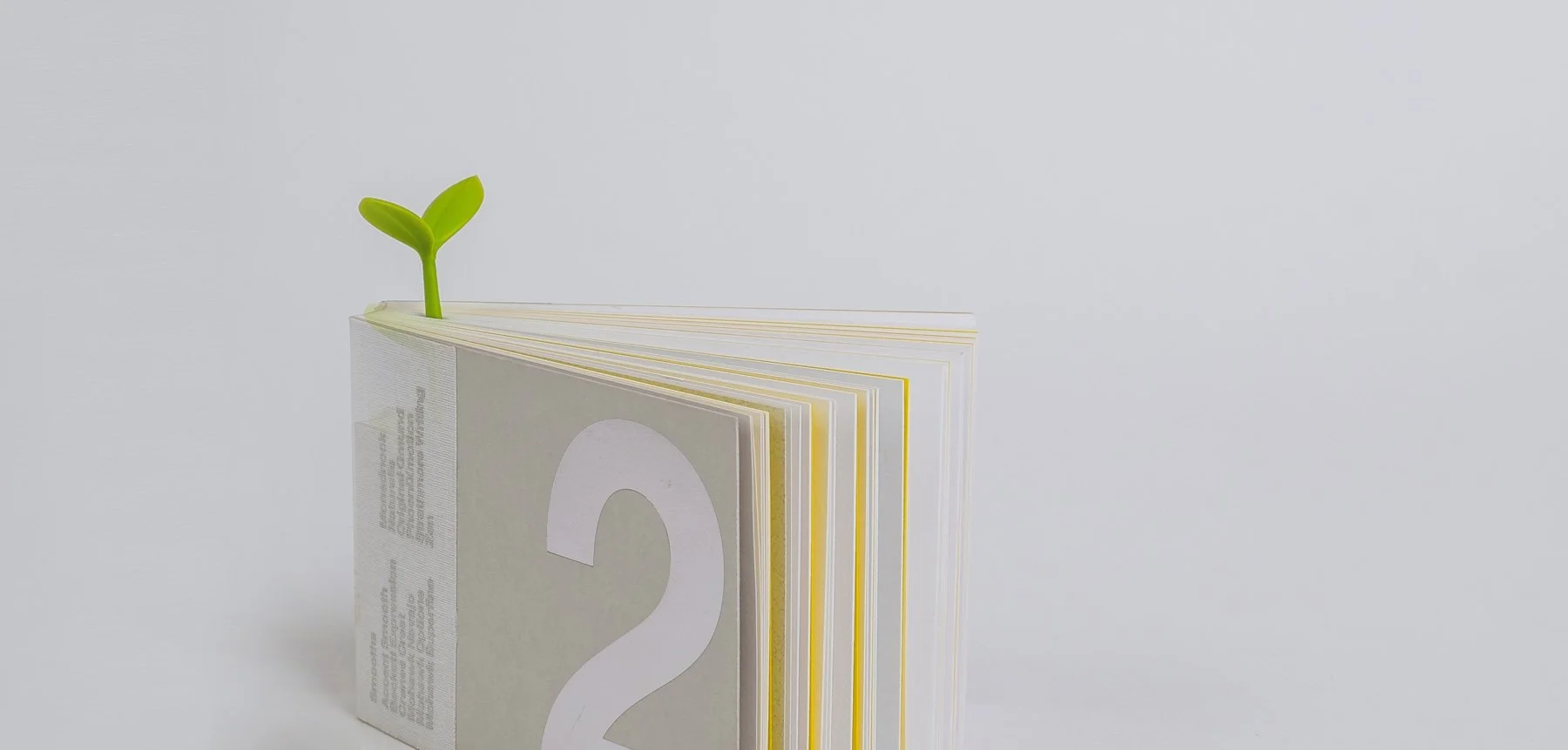 The power of print in a digital marketing world