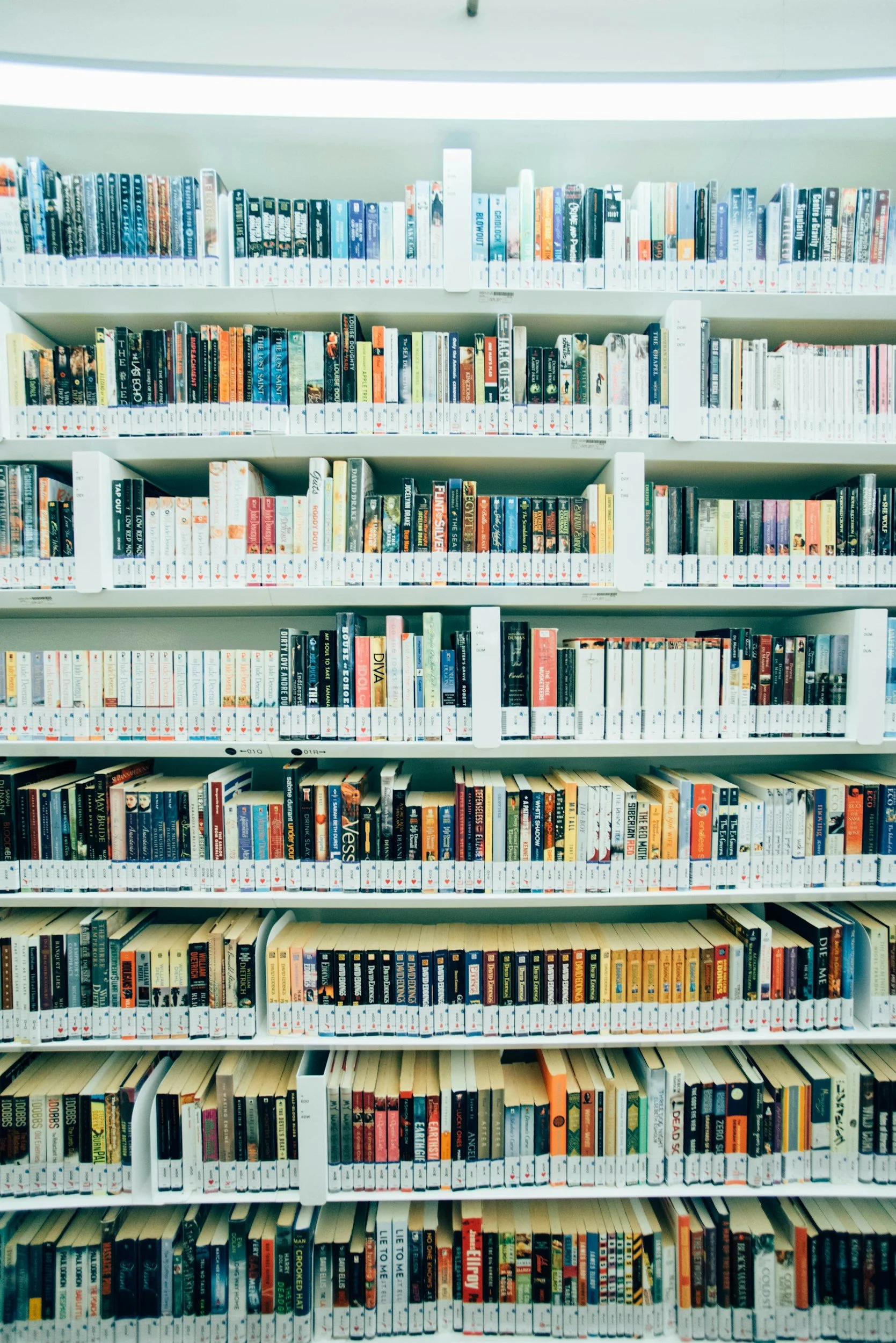 unsplash-image-sXyrbN3c7J4.jpg