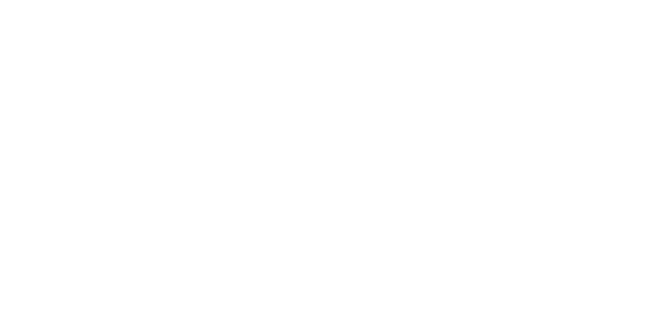 Salesforce White.png