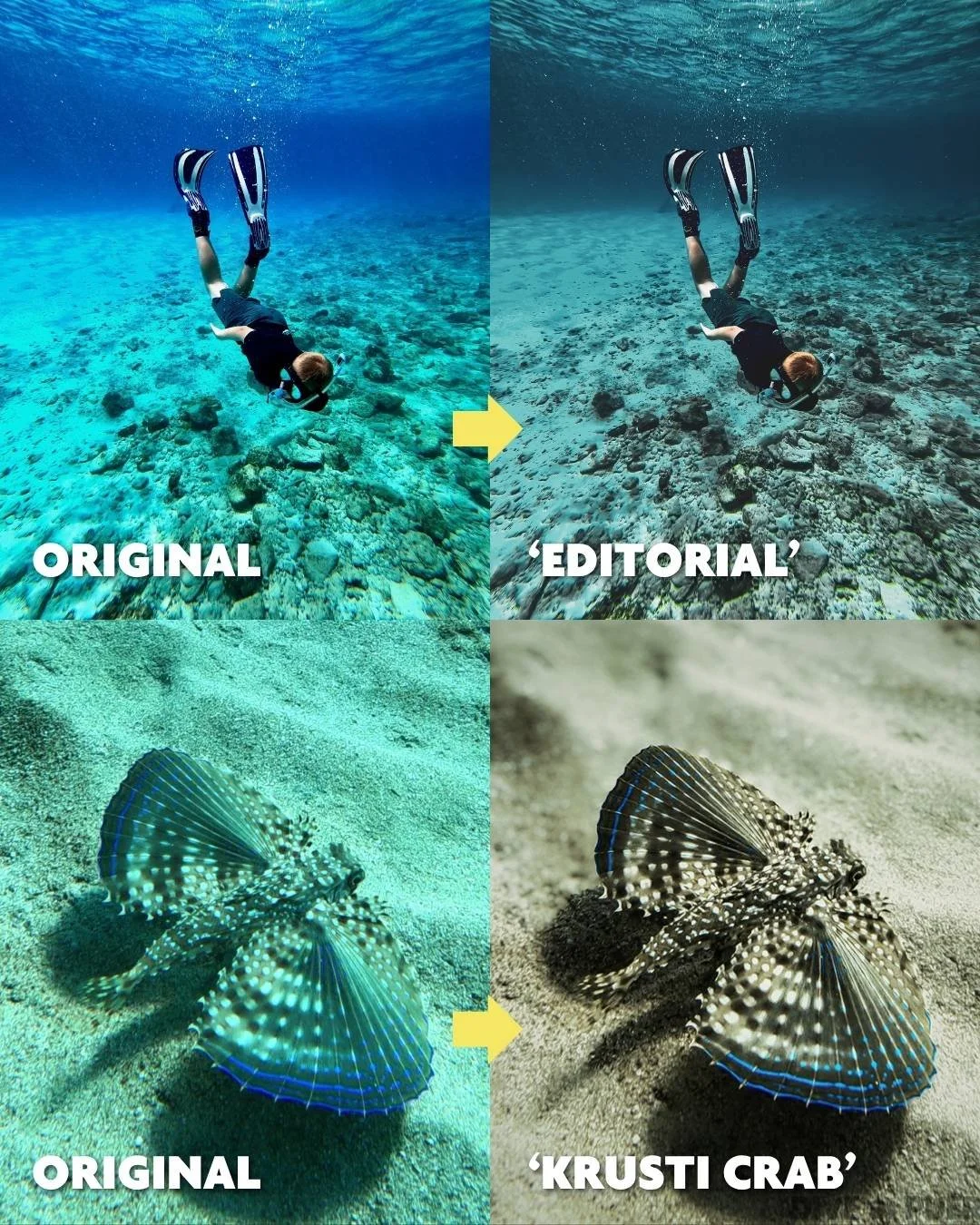 Before-after-underwater-color-grading-scuba-photos-DIPR.jpg
