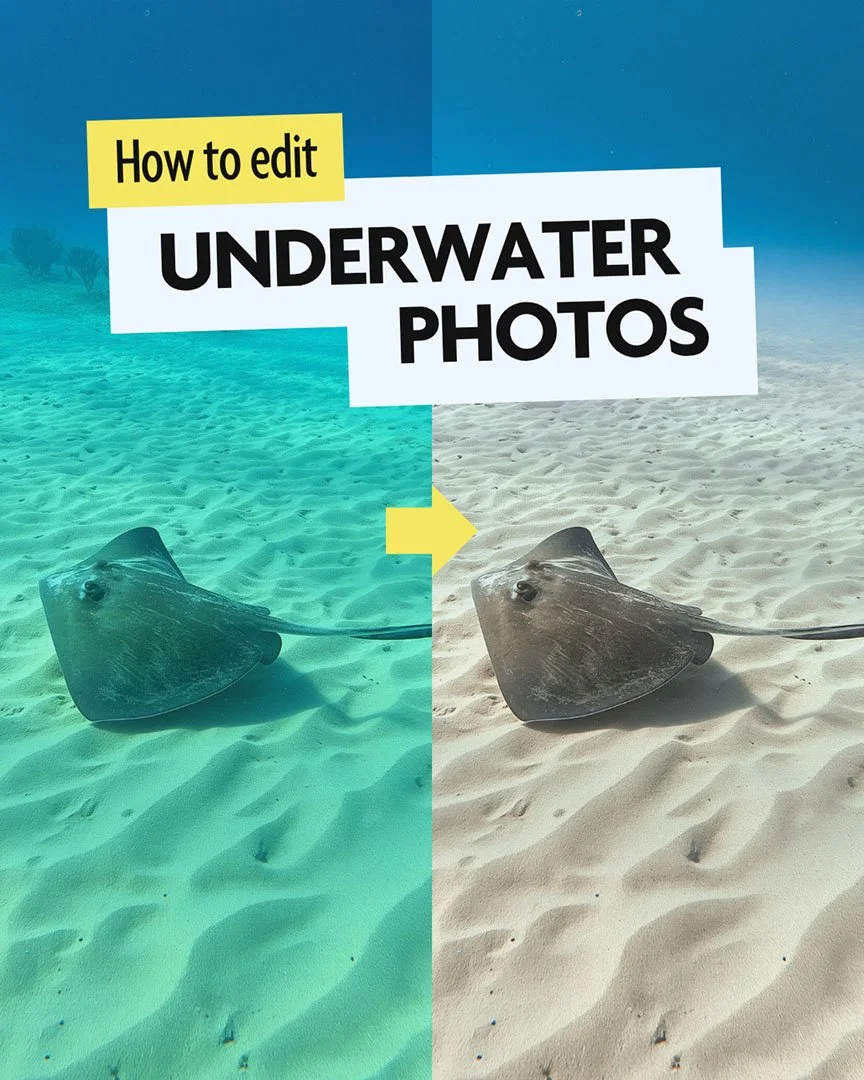 How to edit underwater photos. 6 easy ways to improve your scuba photos.