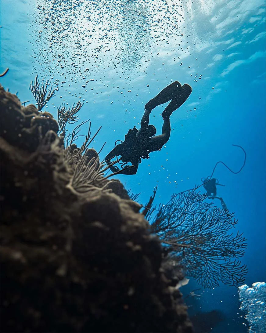 Scuba diver glides above coral reef wall in La Parguera Puerto Rico