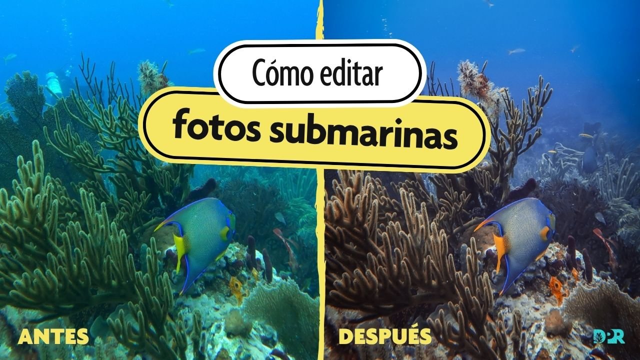 correccion de colores foto de buceo