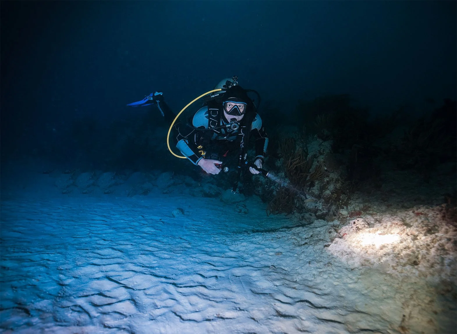 A scuba diver uses a dive light to explore a reef at night