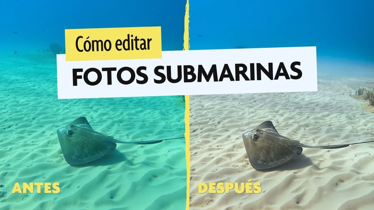 corrección de color fotos submarinas de buceo
