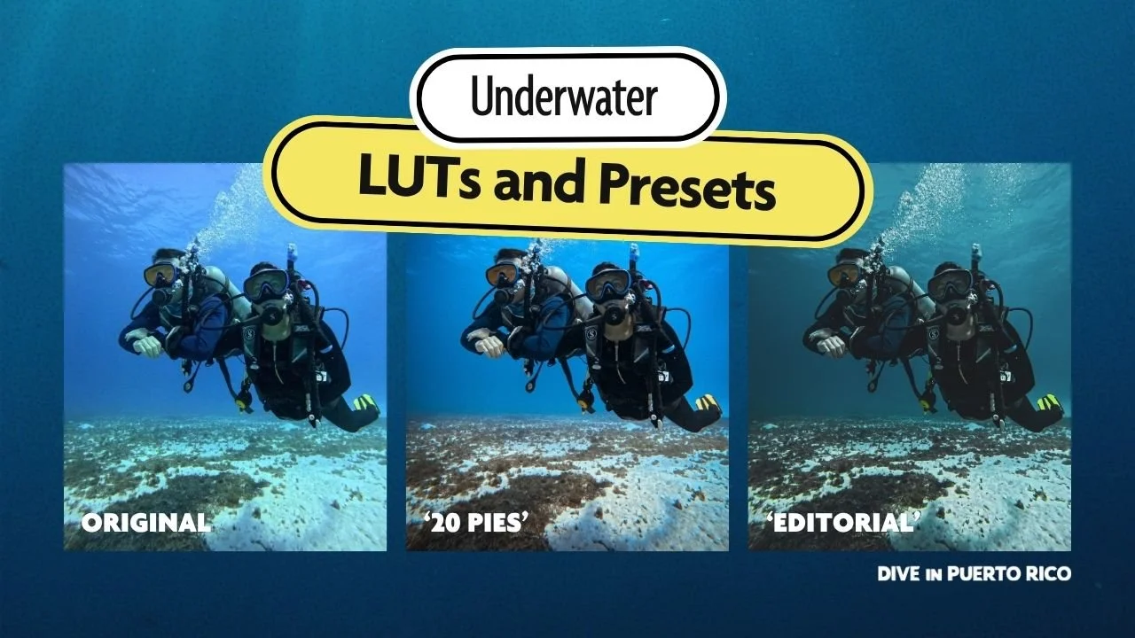 underwater color correction comparison of three photos using Lightroom Presets