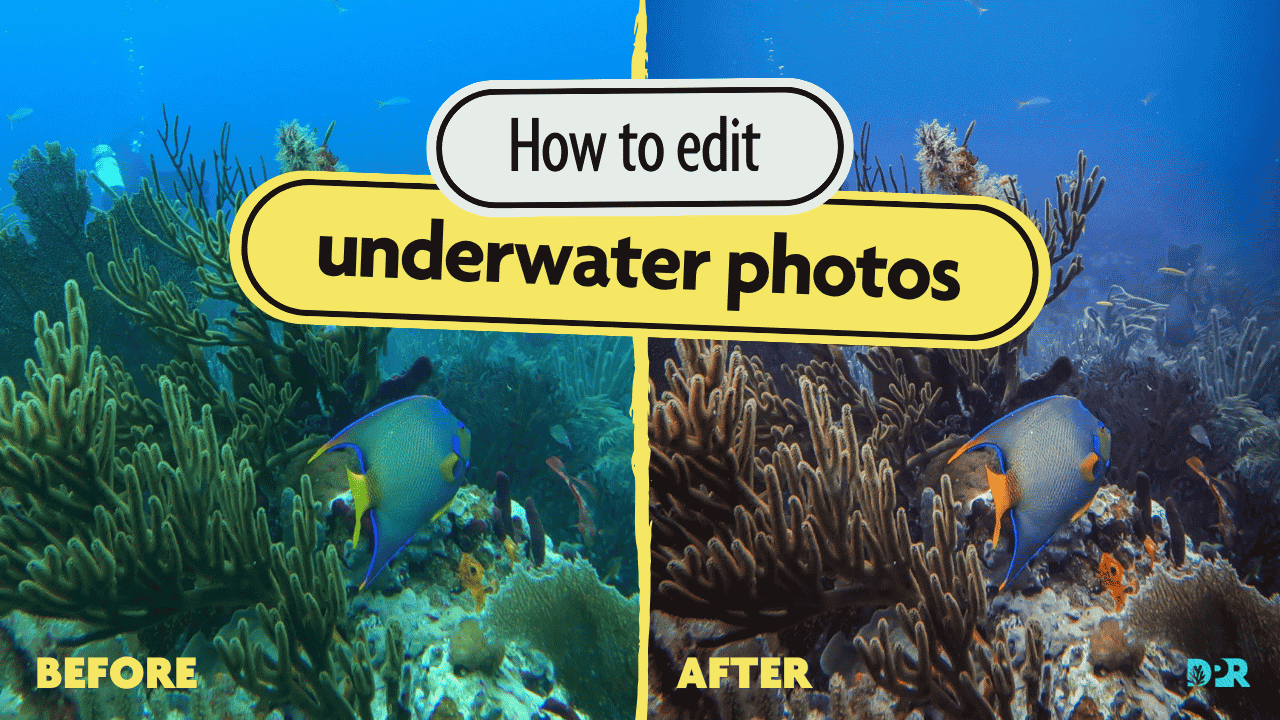 color and contrast correction on underwater scuba photo of coral reef