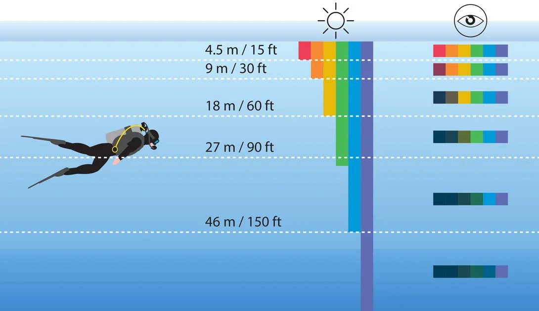 Drawing illustrating color wavelength loss as a diver goes deeper underwater