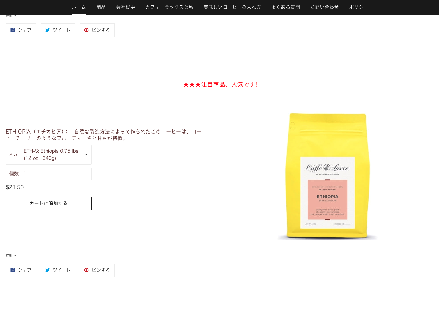 Bridge USA Cafe (Shopify, 2021)